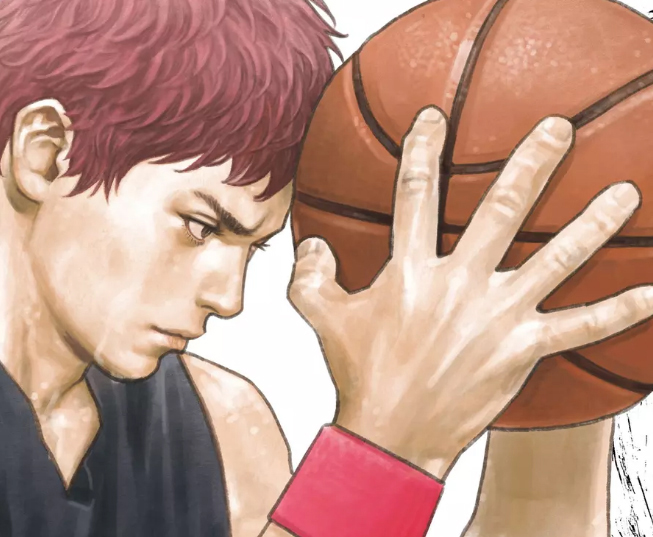 real, panini, voume 16