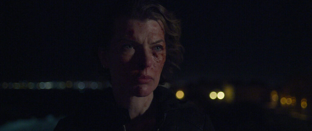 vingadora, milla jovovich