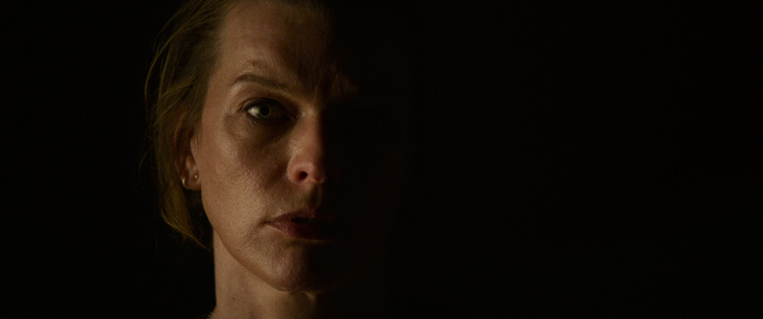 vingadora, milla jovovich