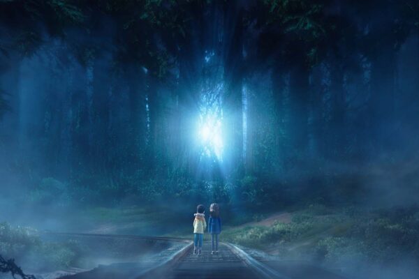 o bosque selvagem